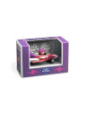Voiture miss burgundy