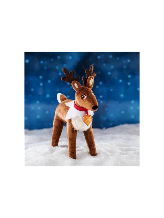 Coffret Renne Elf Pets et livre