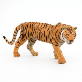 Tigre - PAPO