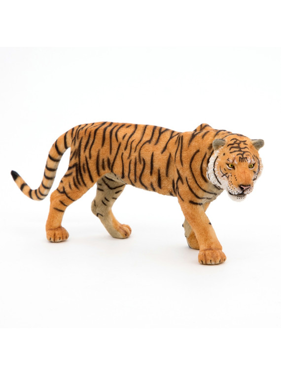 Tigre - PAPO
