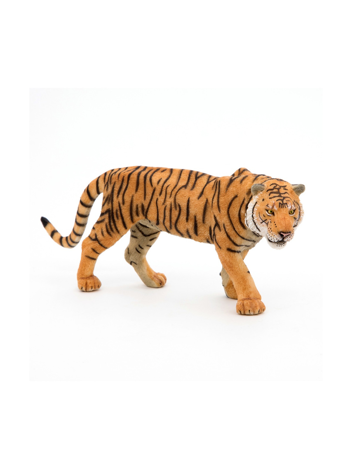 Tigre - PAPO