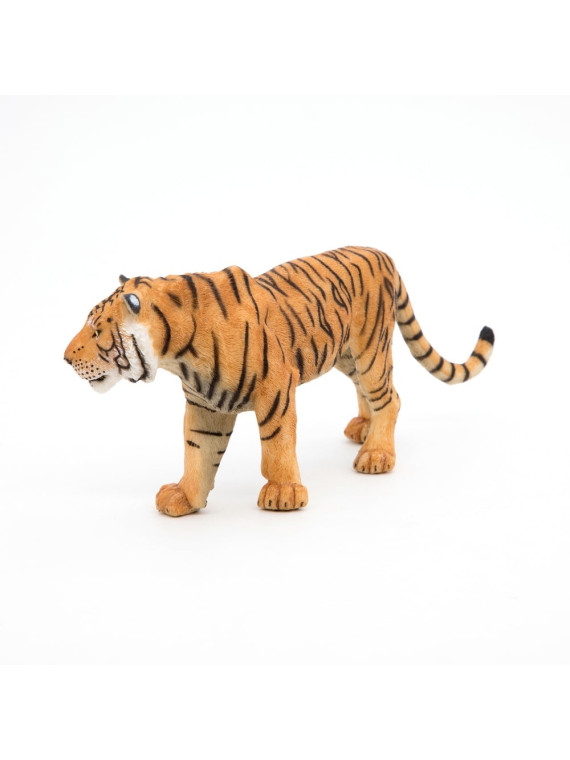 Tigre - PAPO