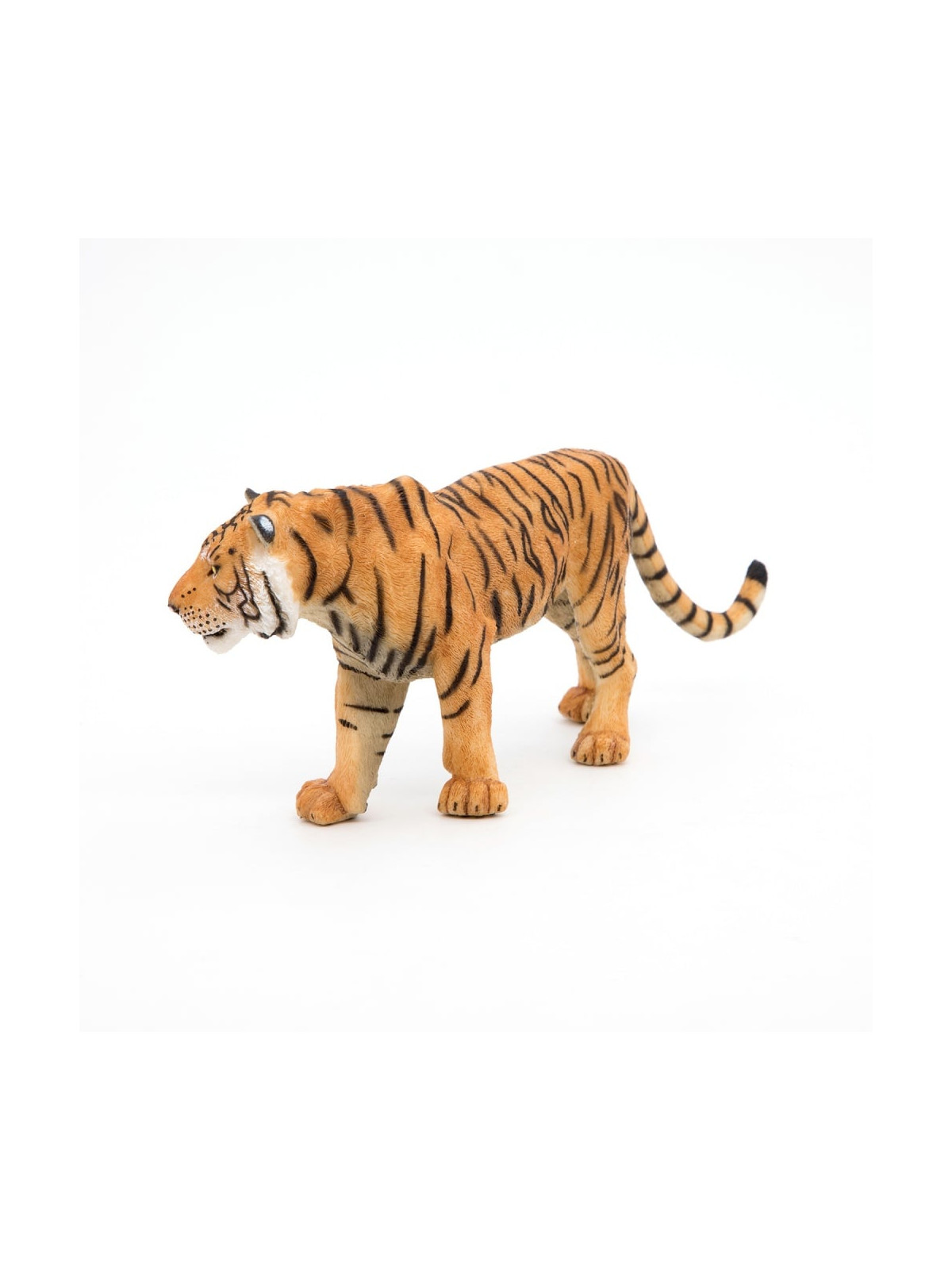 Tigre - PAPO