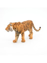 Tigre - PAPO