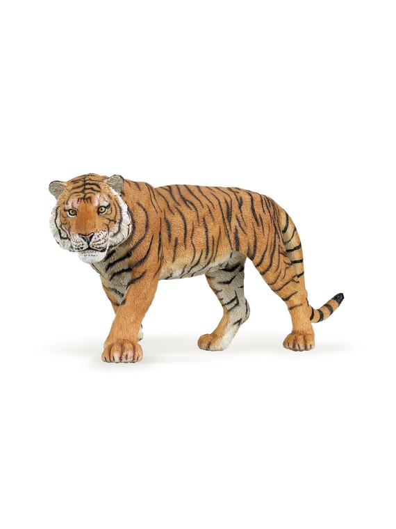 Tigre - PAPO
