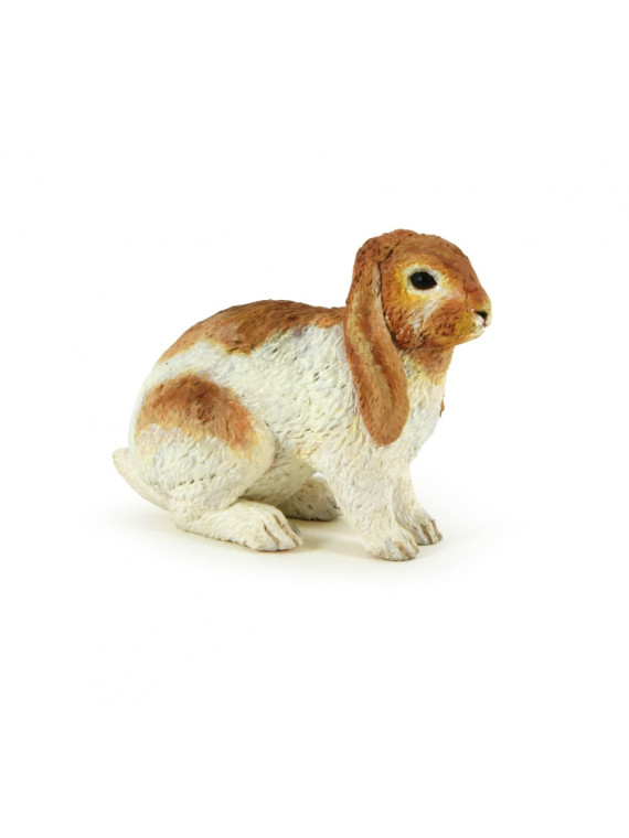 Lapin bélier