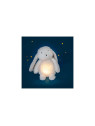 Lapin lumineux Puce & Pilou - Moulin Roty