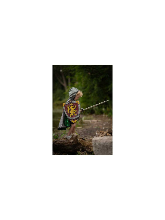 Les Chevaliers honorent le bouclier