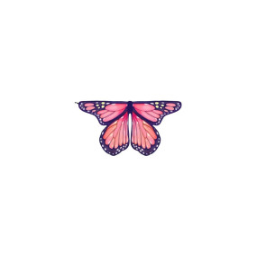 Ailes de papillon monarque roses