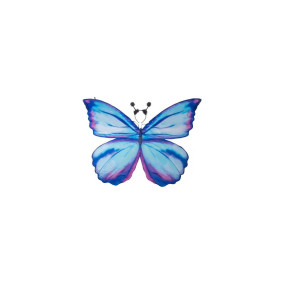 Ailes de papillon bleues
