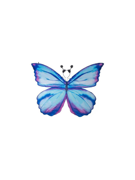 Ailes de papillon bleues