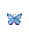 Ailes de papillon bleues