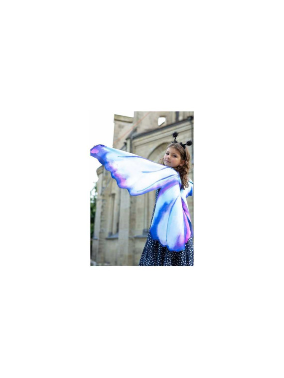 Ailes de papillon bleues