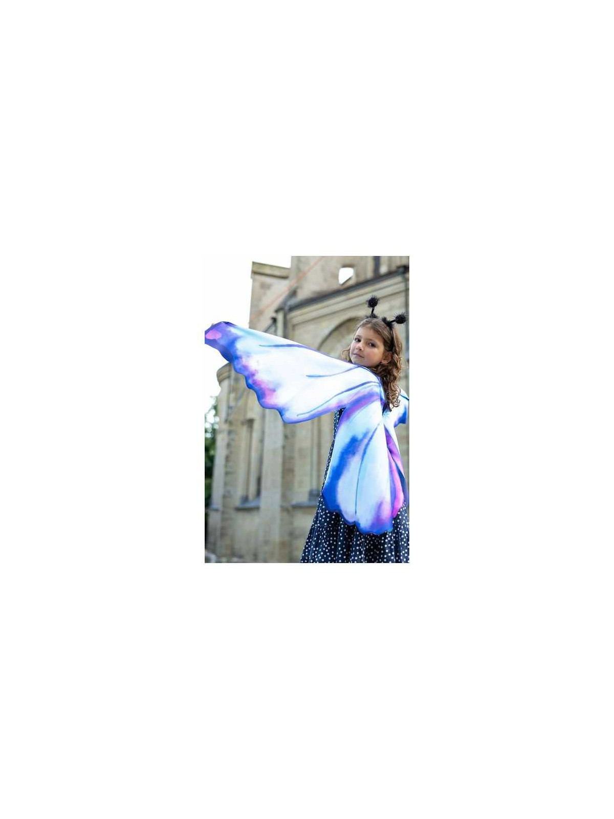 Ailes de papillon bleues