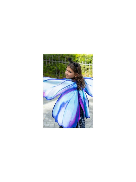 Ailes de papillon bleues