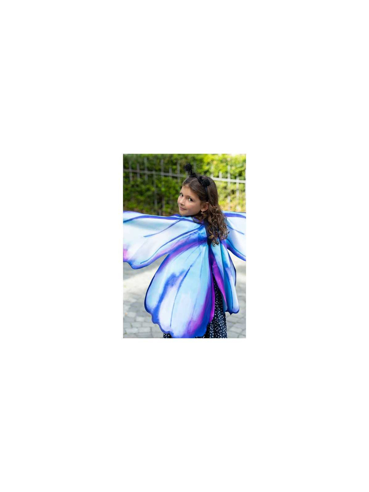 Ailes de papillon bleues