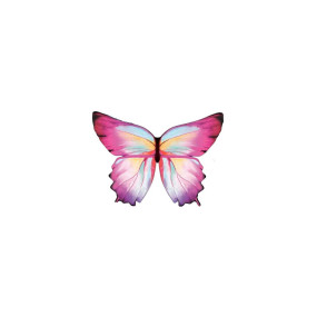 Ailes de papillon roses