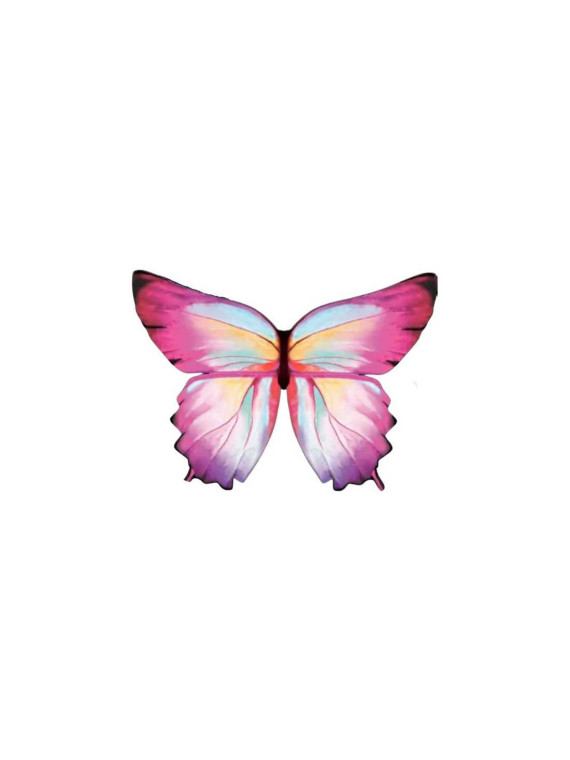 Ailes de papillon roses