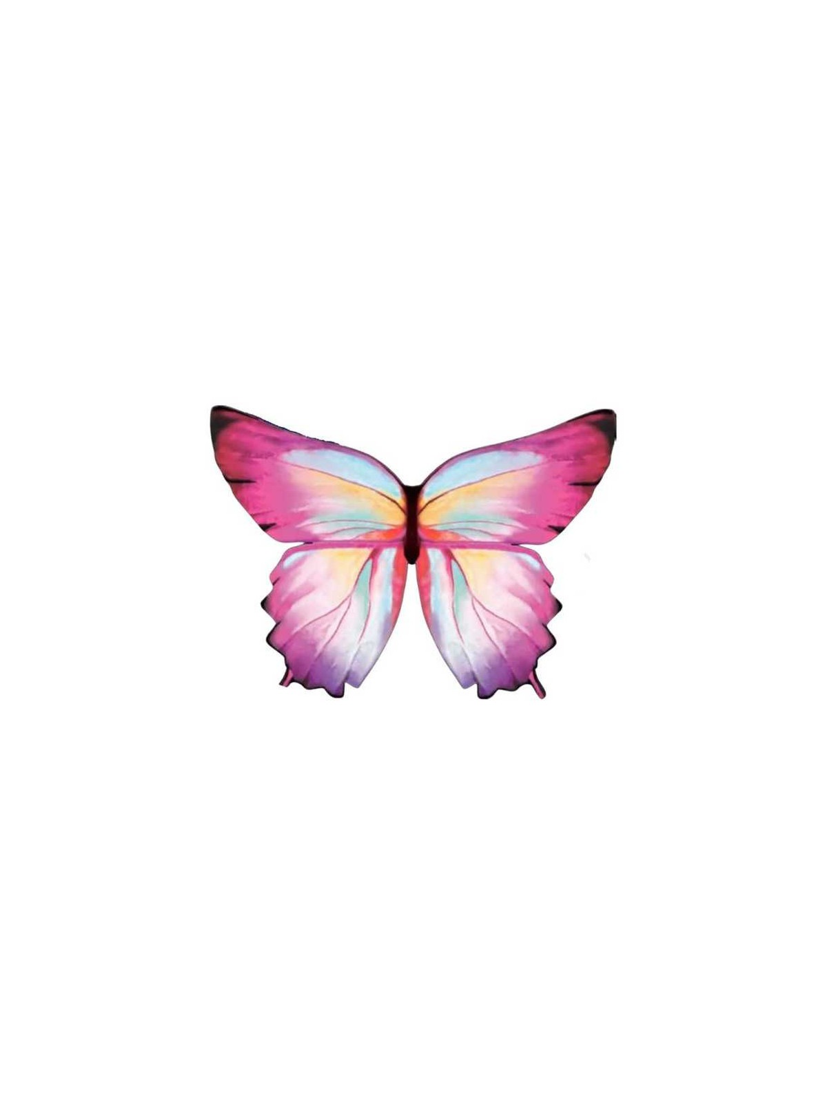 Ailes de papillon roses