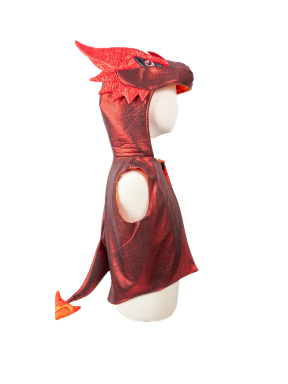 Le gilet dragon 5/6 ans