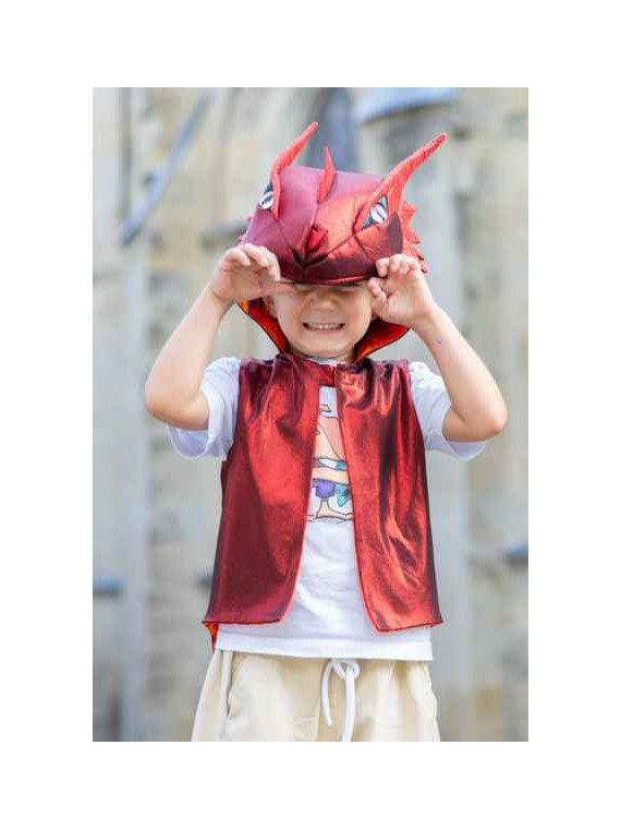 Le gilet dragon 5/6 ans