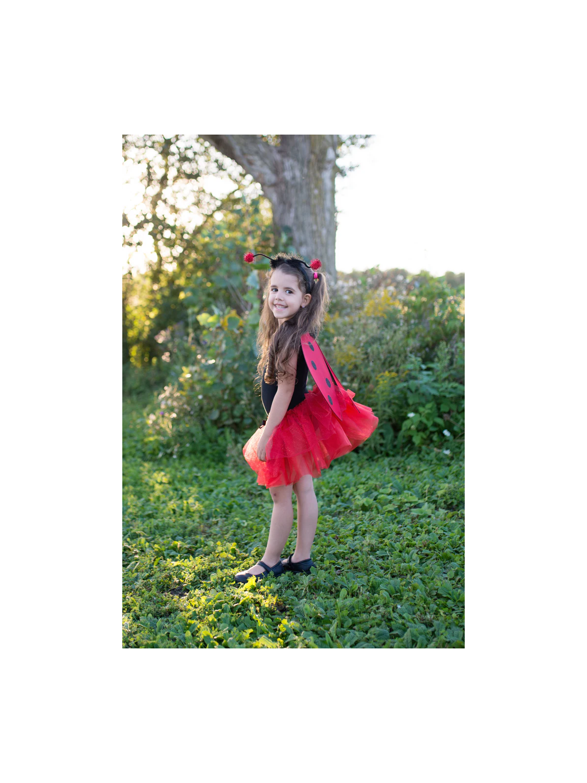 Ensemble de coccinelles scintillantes 2-3 ans