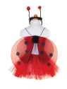 Ensemble de coccinelles scintillantes 2-3 ans