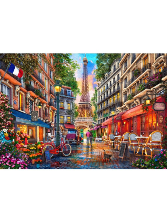  Paris Street 1000 pieces