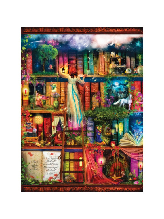 Aimee Stewart - Treasure Hunt Bookshelf 1000 pieces