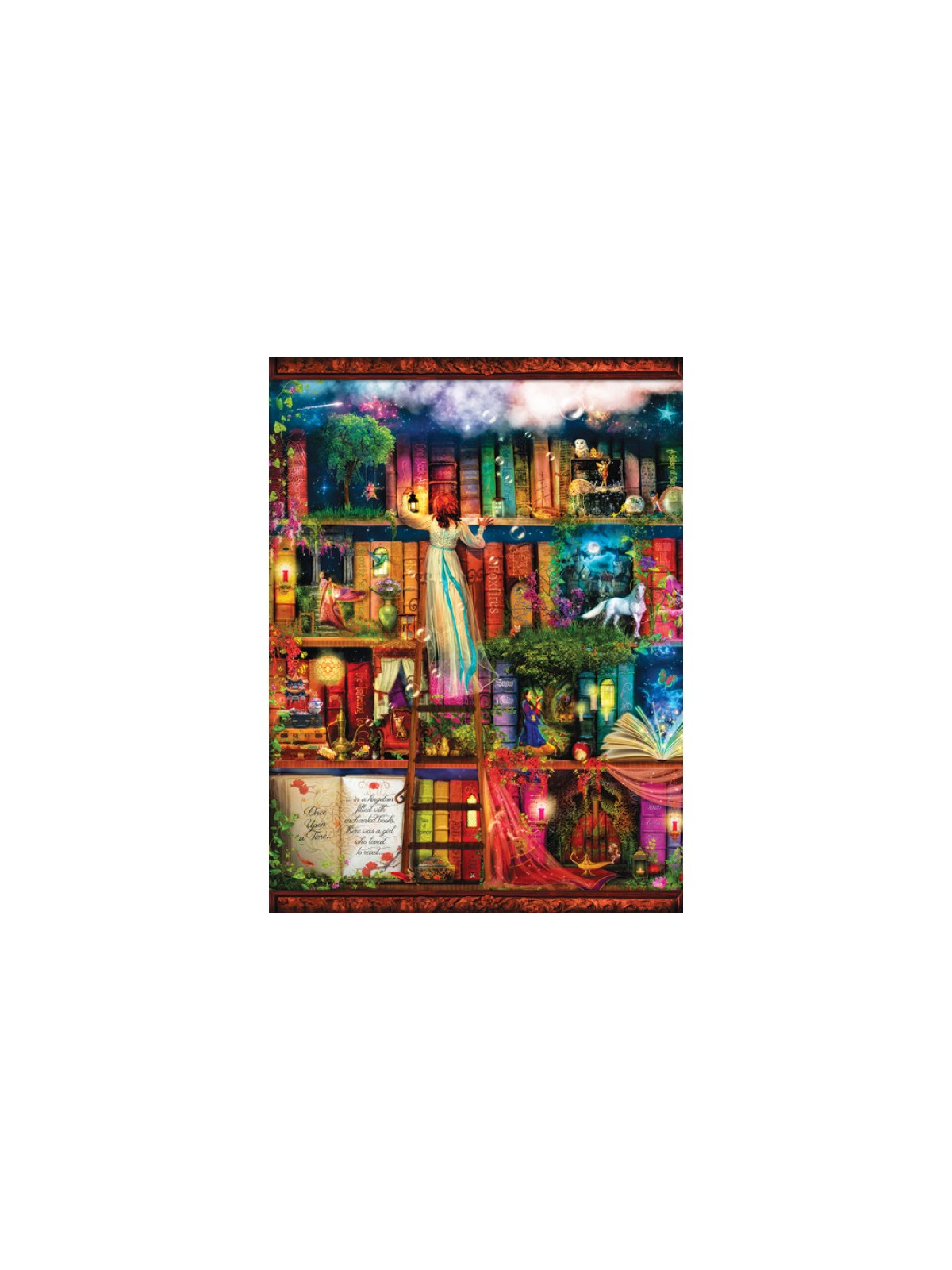 Aimee Stewart - Treasure Hunt Bookshelf 1000 pieces