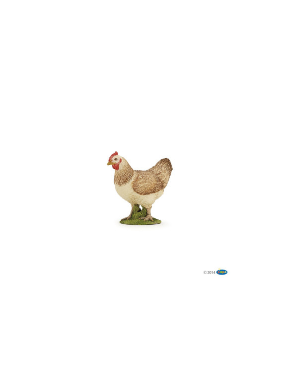 Poule rousse