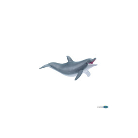 Dauphin jouant