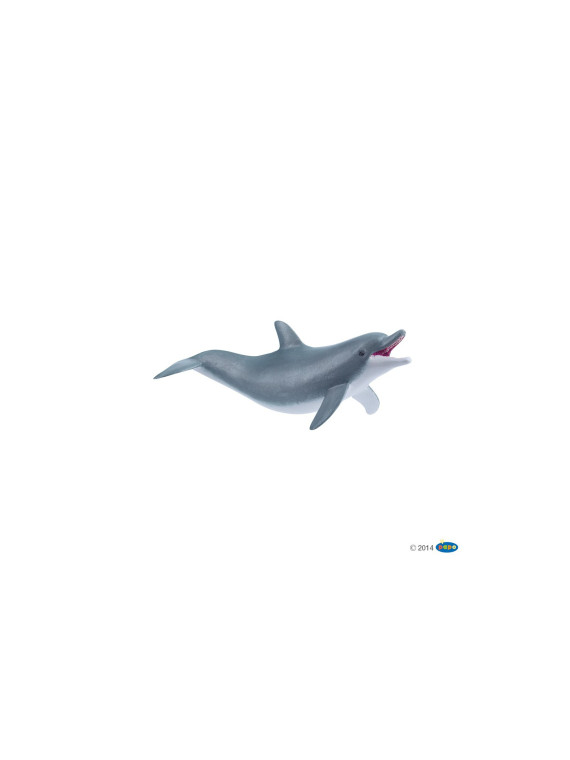 Dauphin jouant