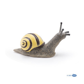 Escargot des bois