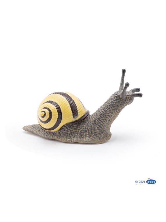 Escargot des bois