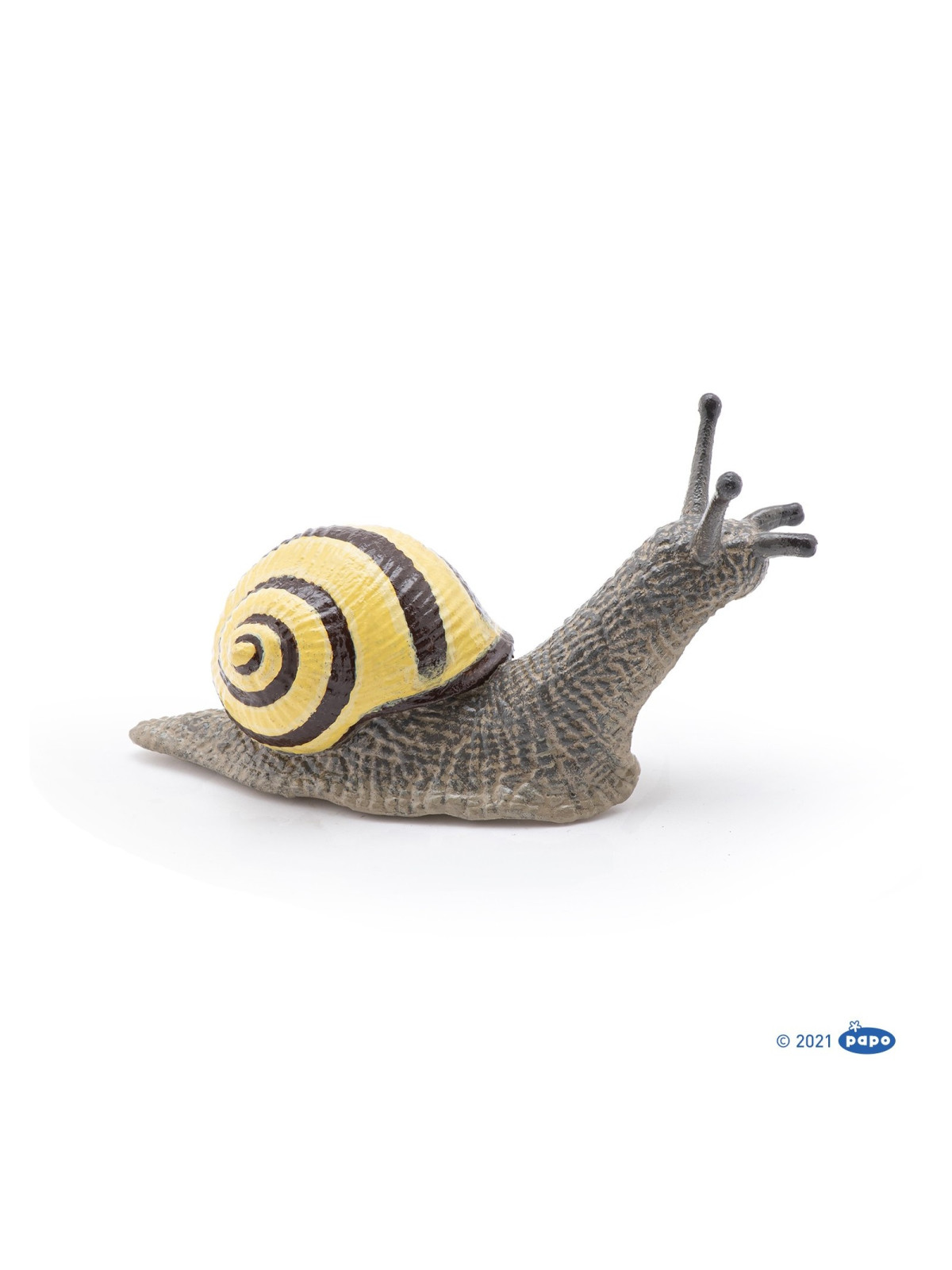 Escargot des bois