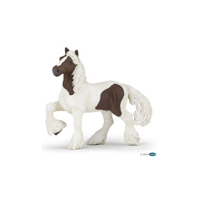 Cob irlandais pie bai