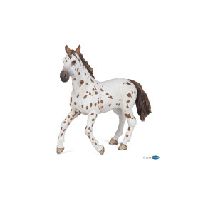 Jument appaloosa brune