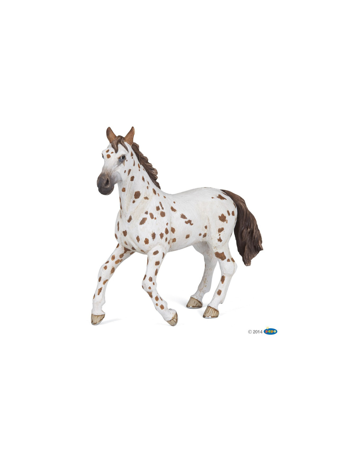 Jument appaloosa brune