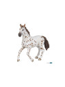 Jument appaloosa brune