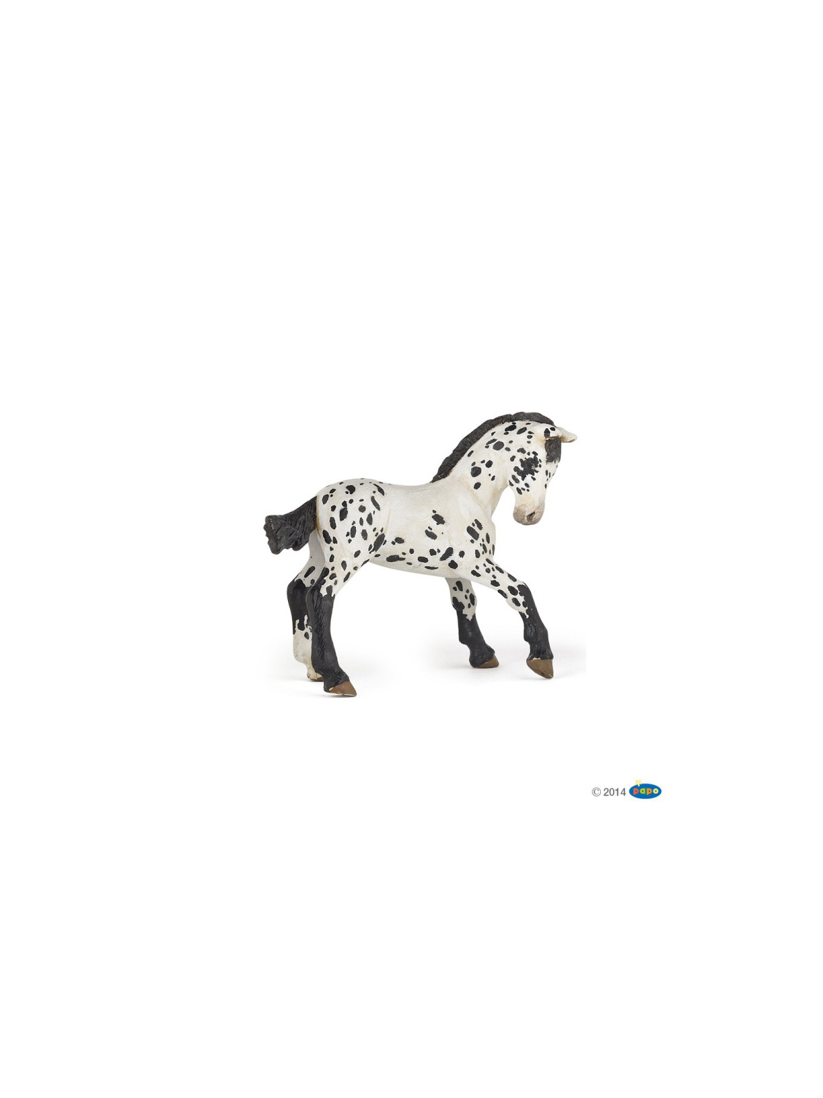 Poulain appaloosa brun
