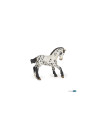 Poulain appaloosa brun