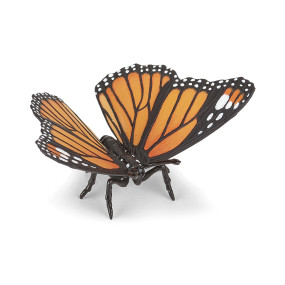 Papillon