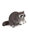 Raton laveur