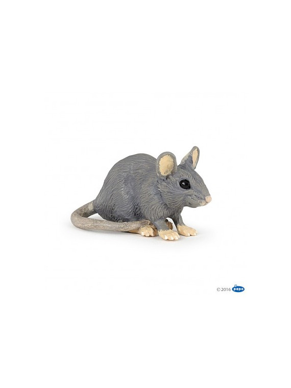 Souris grise