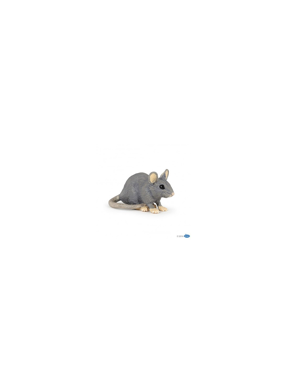 Souris grise