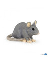 Souris grise