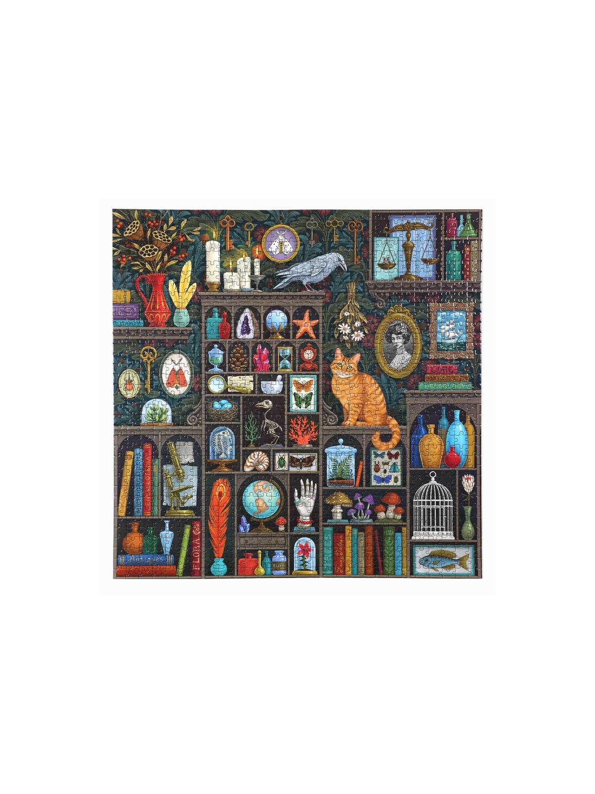 Puzzle CABINET OF ALCHEMY 1000 pieces
