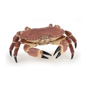 Crabe