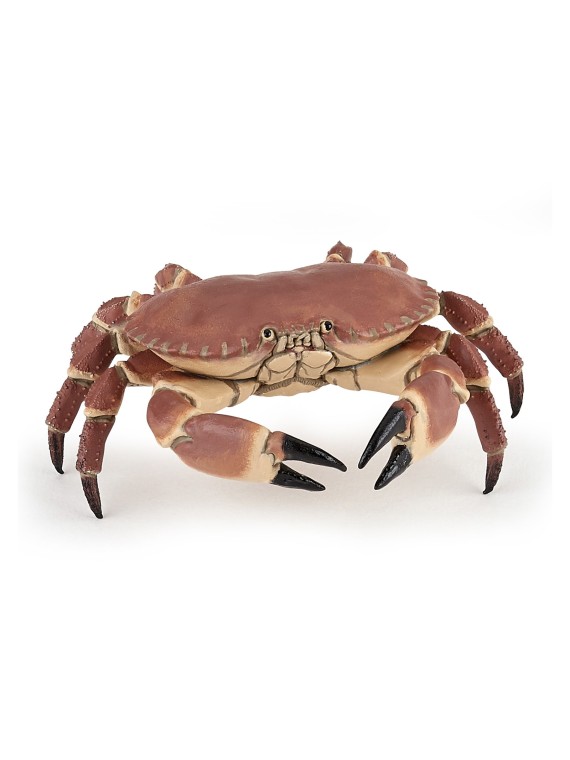 Crabe
